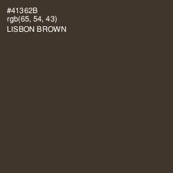 #41362B - Lisbon Brown Color Image